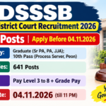 DSSSB District Court Recruitment 2026 banner: 641 posts, graduate and 10th pass, apply before 04.11.2026
