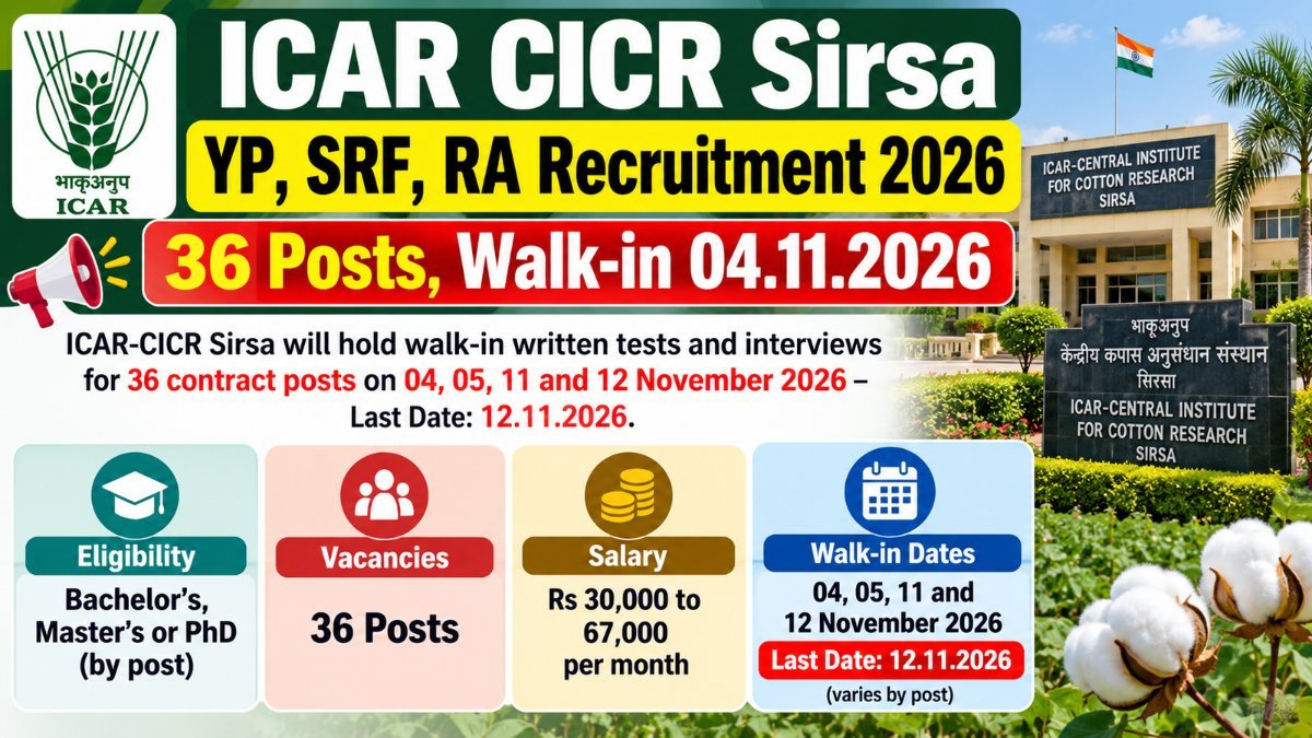 ICAR CICR Sirsa YP, SRF, RA Recruitment 2026 banner: 36 posts, walk-in from 04.11.2026